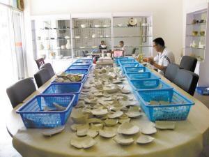 马联合在博物馆内整理他收集的定窑瓷片。本报记者 汪洋 摄