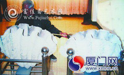 专家测量砗磲的长度，较大者82厘米。